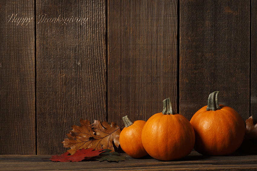 Roundup Turkey Time and Pumpkin Pie [2716x1810] for your , Mobile & Tablet, squash summer HD wallpaper