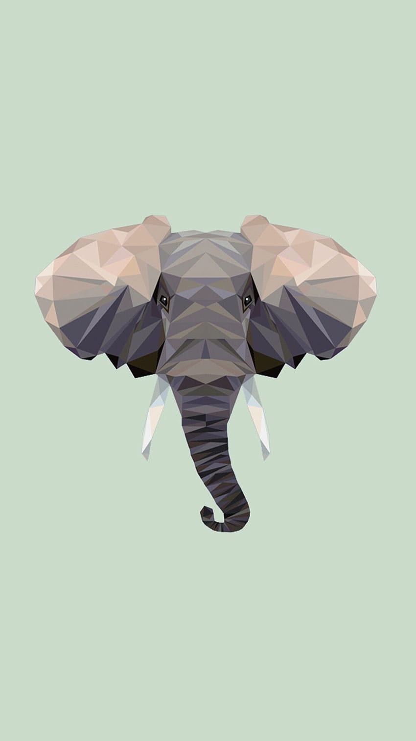 Fundos de elefante para iPhone postados por Sarah Mercado, estética de elefante fofo Papel de parede de celular HD