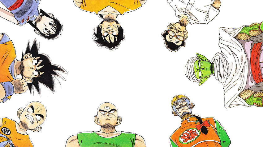 Dragon Ball Z, Son Goku, Krillin, Chi Chi, Tien Shinhan, Piccolo, picolo HD wallpaper