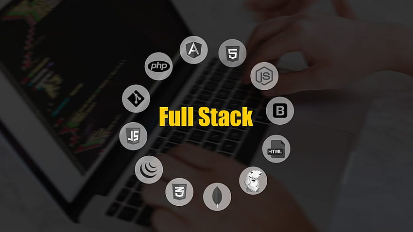 Full stack course Gives User Experience of The Website HD wallpaper
