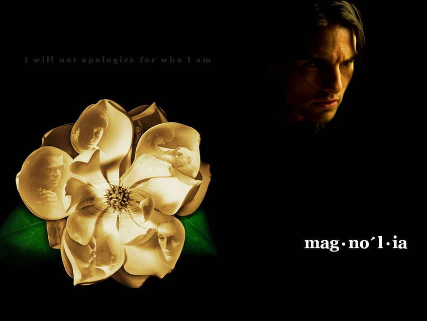Magnolia Movie The Art Mad [1152x864] for your , Mobile & Tablet HD wallpaper