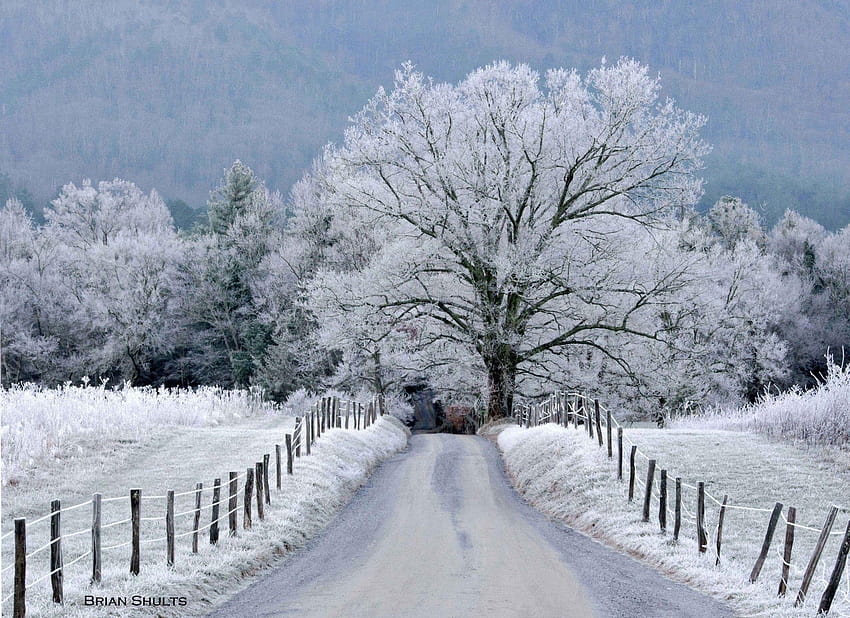 Scènes d'hiver de Smoky Mountain, montagnes d'hiver Fond d'écran HD