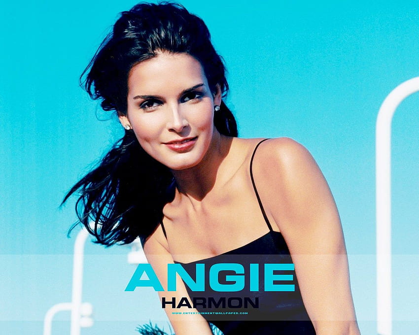 Global Gallery: angie harmon and HD wallpaper