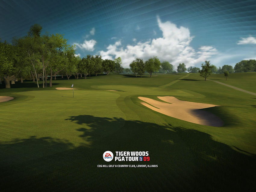 Tiger Woods PGA Tour 09, tiger woods logo HD wallpaper | Pxfuel