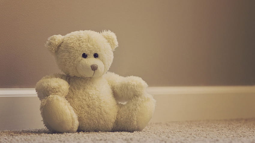 Cute Teddy Bear, Stuffed Bears ..., teddy aesthetic HD wallpaper