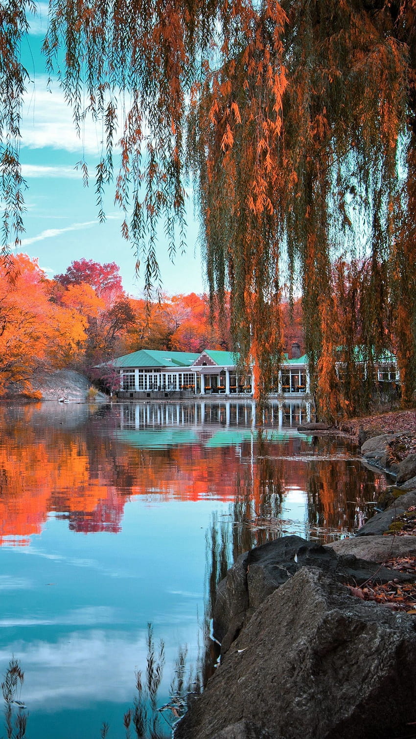 1350x2400 센트럴 파크, 뉴욕, 가을, 아름다운 풍경 iphone 8+/7+/6s+/ for parallax backgrounds, central park autumn phone HD 전화 배경 화면