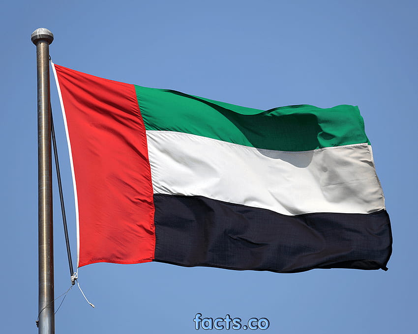 Bandera de los Emiratos Árabes Unidos fondo de pantalla