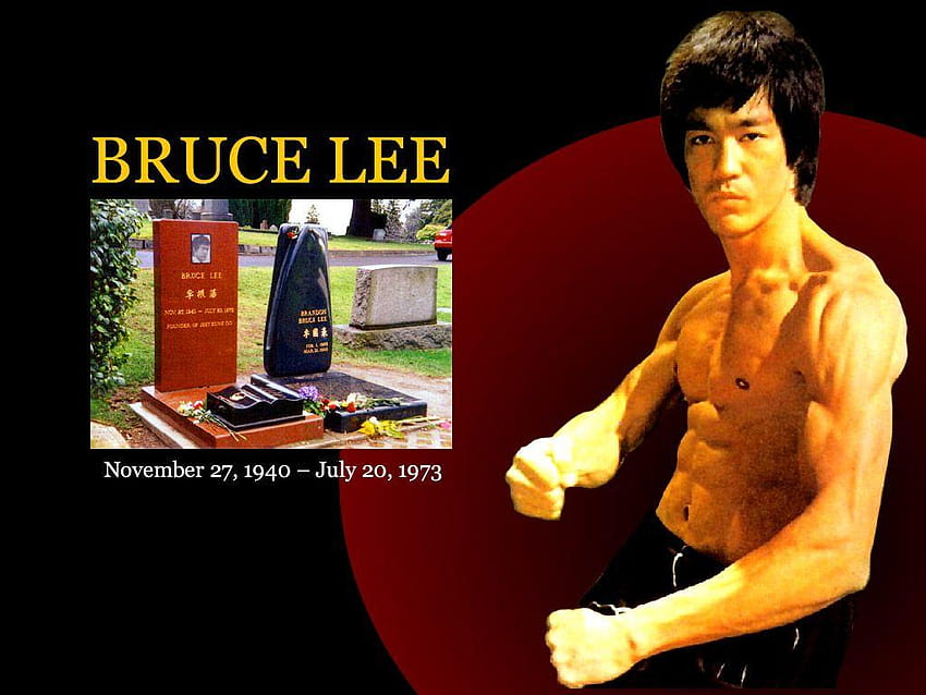 Bruce Lee Group, bruce lee mobile HD wallpaper