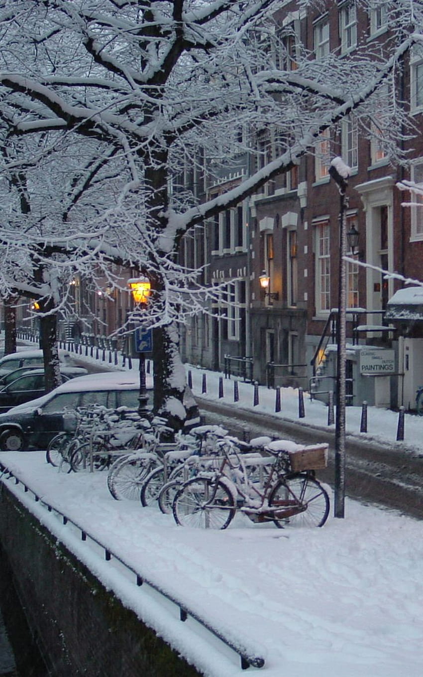 midwinter, amsterdam winter HD phone wallpaper