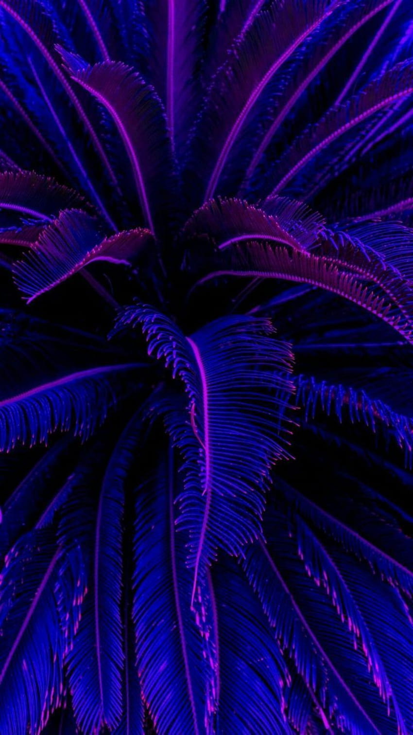 blue, purple, electric blue, violet, fractal art, plant, iphone, purple plant tunnel aesthetic ultra HD phone wallpaper