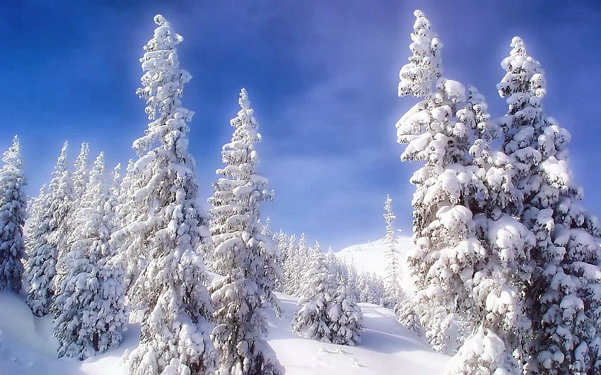 fondo de pantalla del país de las maravillas de invierno