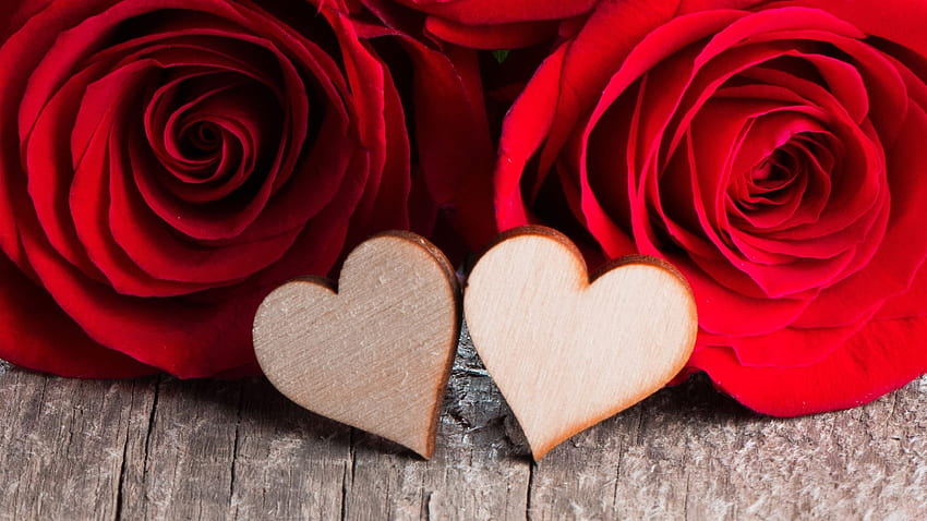 2 つの愛の心、赤いバラ 2560x1600、2 人の恋人 高画質の壁紙