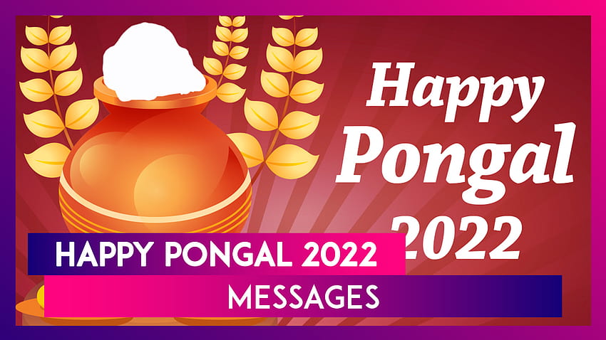 Pongal 2022-Wünsche: Mit thailändischen Pongal-Zitaten, Grüßen, Facebook-Status und Nachrichten HD-Hintergrundbild