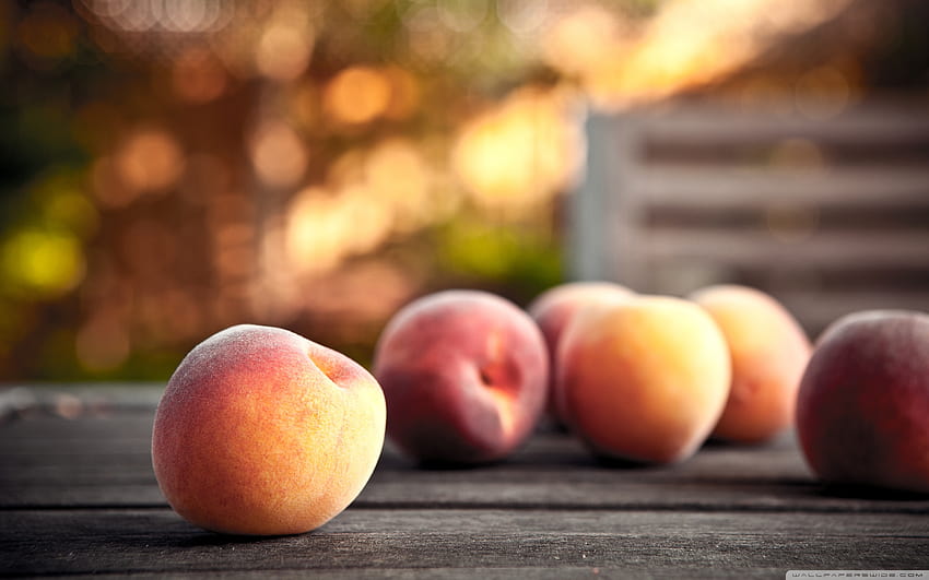 Peaches, nectarines HD wallpaper