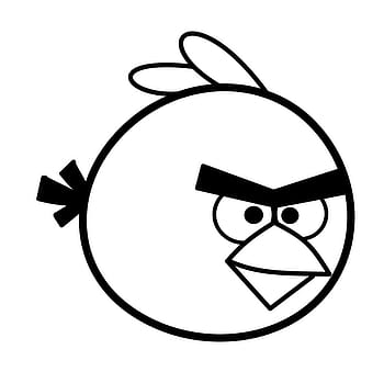 Drawing cartoon angry bird HD wallpapers | Pxfuel