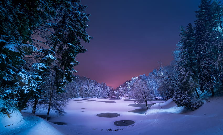 風景 小道 公園 雪 自然 夜 青 紫 氷 冬 凍った湖 森の木 湖 池、冬の湖の木 高画質の壁紙