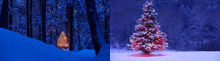 Winter Dual Monitor posted by Sarah Tremblay, 3840x1080 christmas dual HD wallpaper