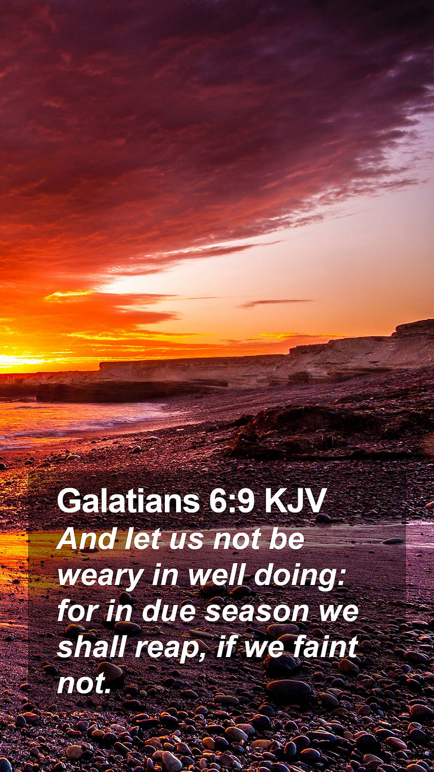 Galatians 6:9 KJV Mobile Phone, bible verse iphone HD phone wallpaper