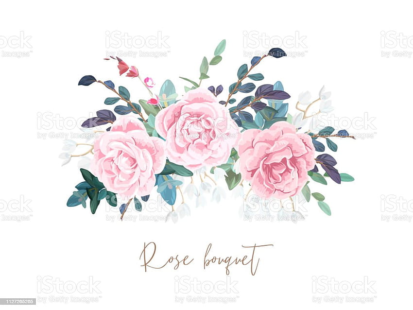 Decorative Horizontal Garland Composition Of Pale Roses White Spring Flowers Eucalyptus And Succulents Light Floral Bouquet For Wedding Invitations And Romantic Cards Hand Drawn Vector Illustration Stock Illustration HD wallpaper