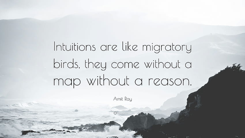 Amit Ray Quote: “Intuitions are like migratory birds, they come HD wallpaper