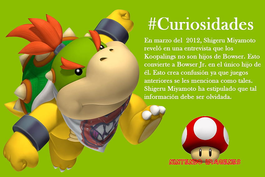 Bowser And Bowser Jr Curiosidades bowser jr by [1500x1000] for your , Mobile & Tablet, bowser junior HD wallpaper