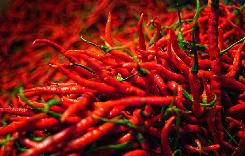 Macro, pepper, a lot, Chile, pods, pepper, spicy , section еда HD