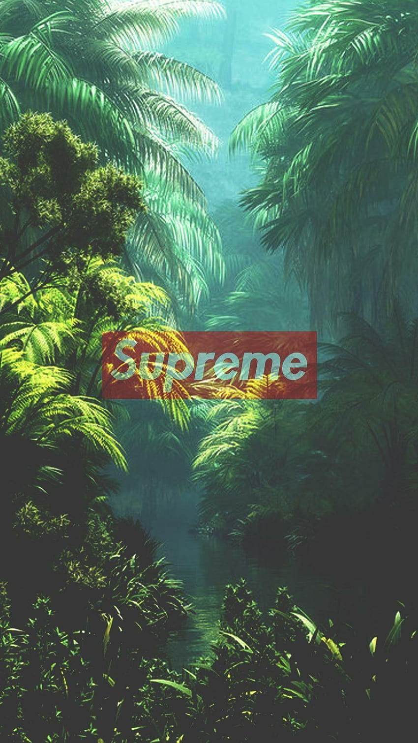 Supreme, Green Forest, Cool, supreme woodland HD phone wallpaper