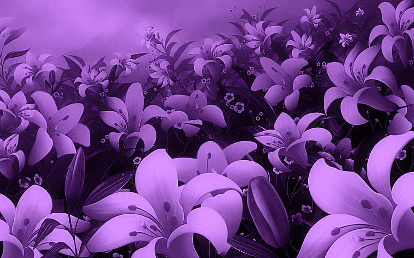 Liliac Flowers HD wallpaper