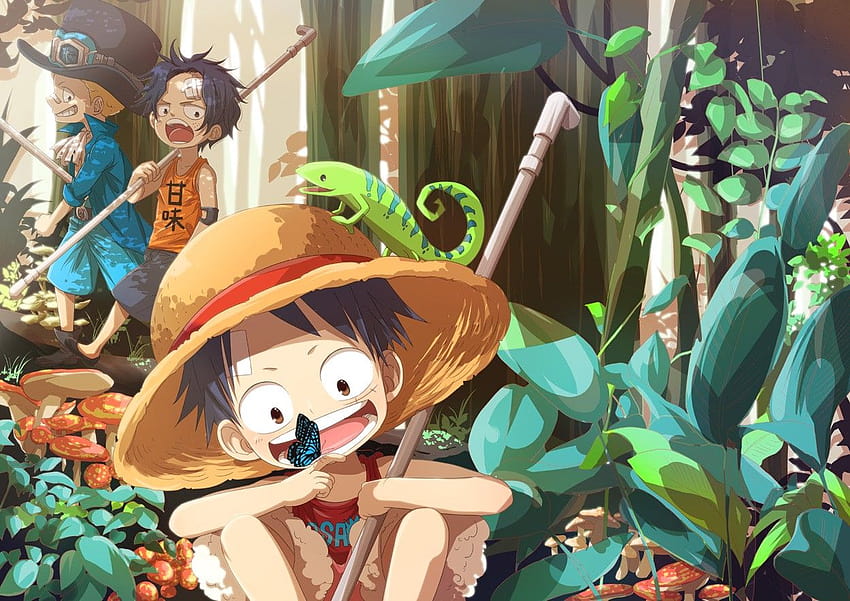 7 One Piece, kid luffy HD wallpaper