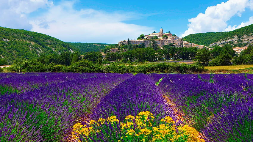 Provence, campos de lavanda frança papel de parede HD