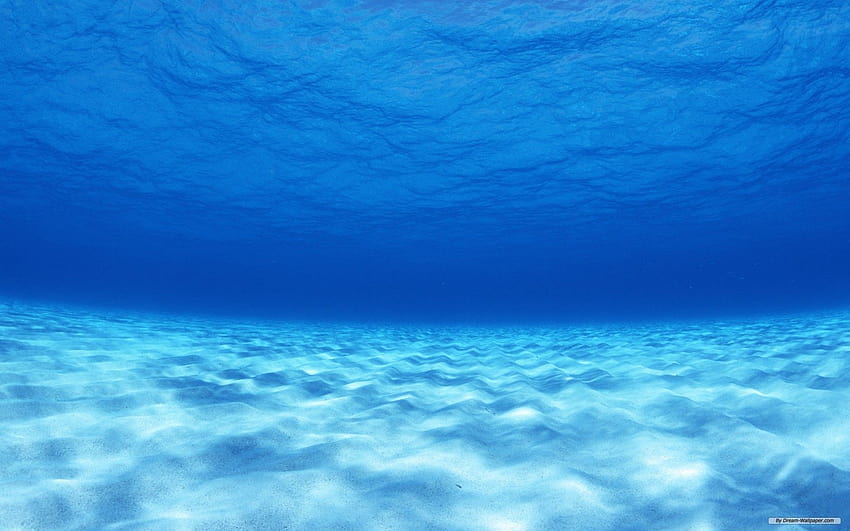 Areia subaquática, fundo do mar papel de parede HD