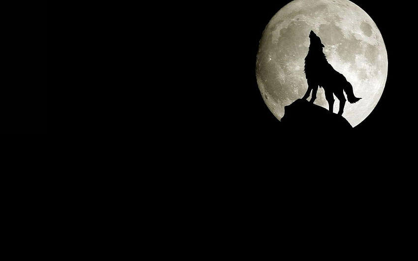 Wolf Howling At Full Moon HD wallpaper