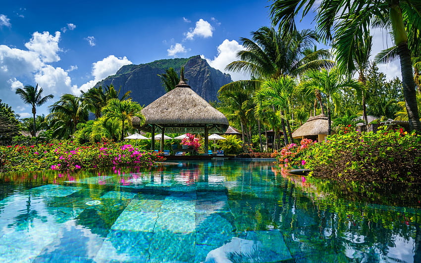 Mauritius, isola tropicale, paesaggio montano, palme, hotel di lusso, piscina con risoluzione 1920x1200. Alta qualità, piscina dell'hotel Sfondo HD