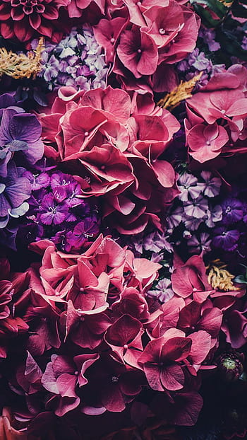 Floral pinterest HD wallpapers | Pxfuel