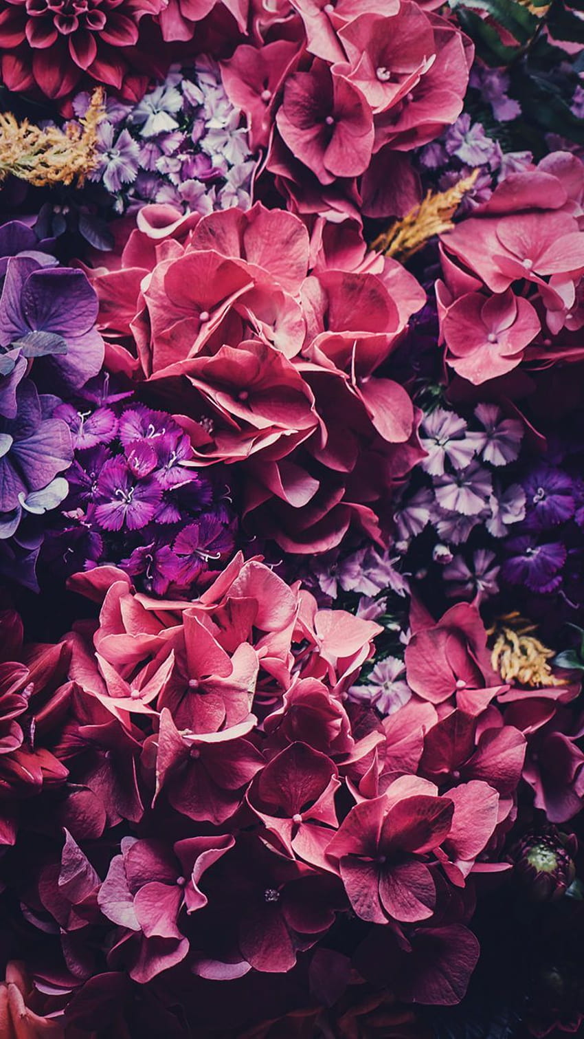 5 Floral iPhone To Celebrate 6 Pinterest Followers HD phone wallpaper |  Pxfuel