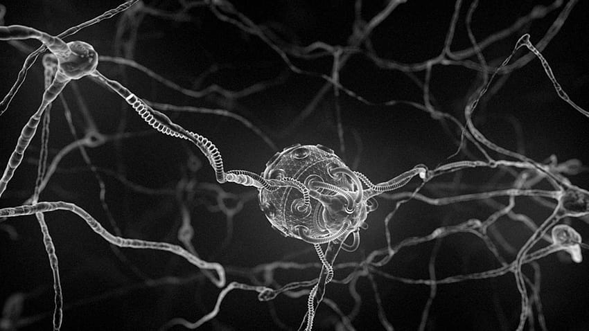 Arte digital nervios microscópicos cg anatomía humana, célula humana fondo de pantalla