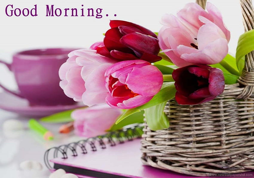 Good Morning for Android & Apple mobile HD wallpaper
