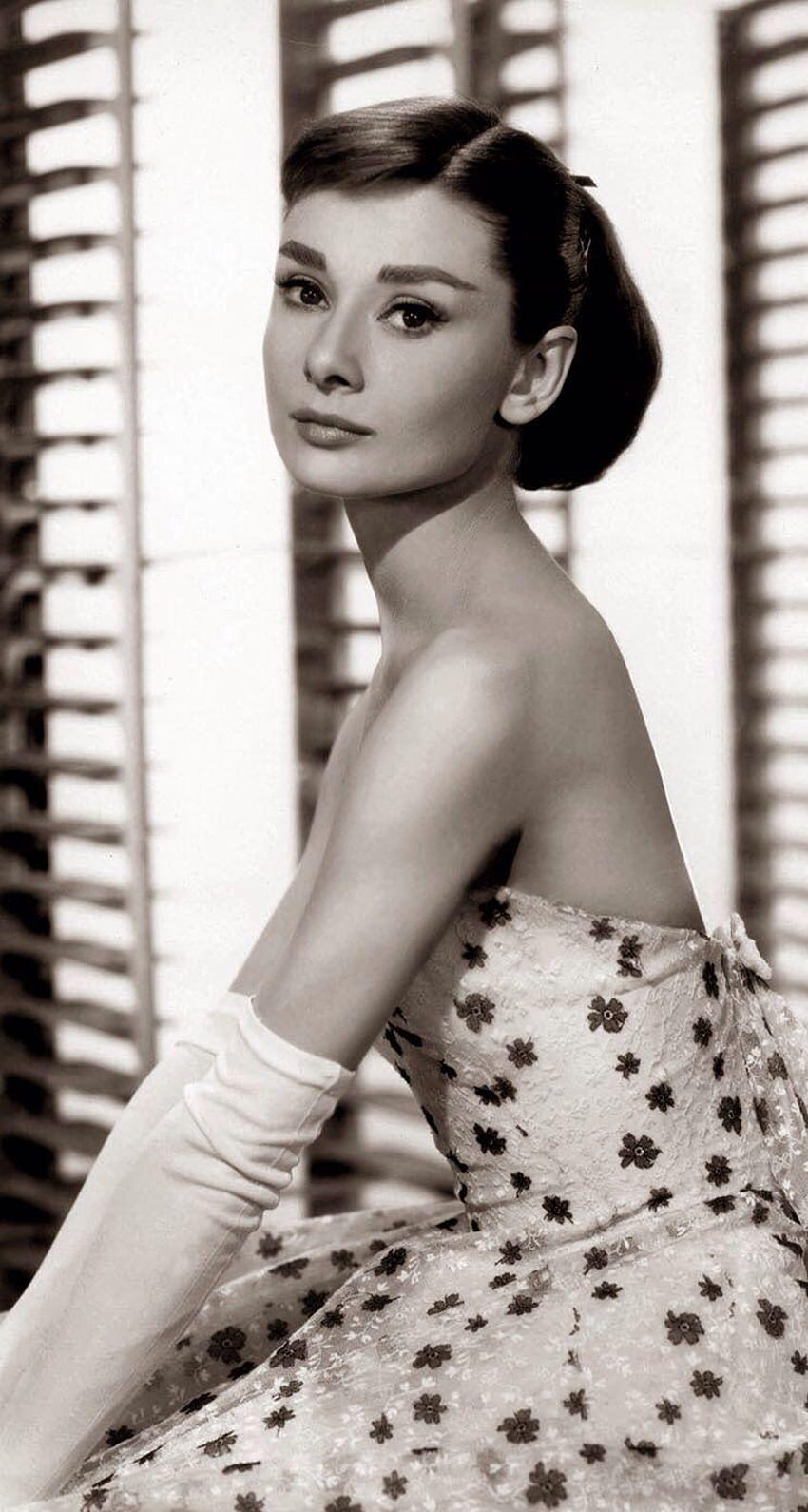 Audrey Hepburn, Katharine Hepburn HD telefon duvar kağıdı