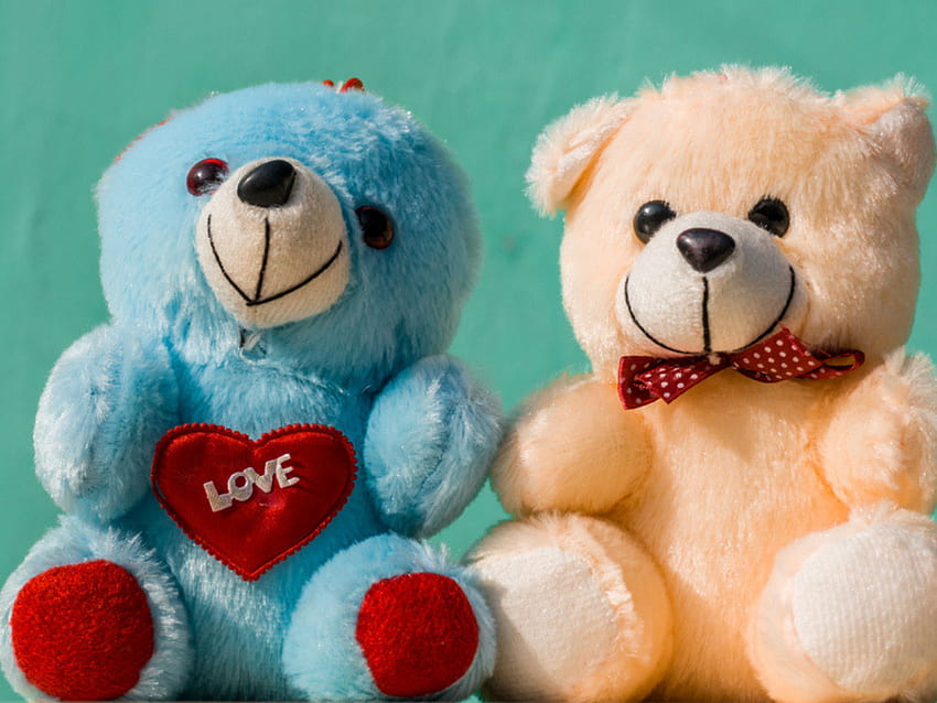 Valentine's Week: Happy Teddy Day 2020: , Quotes, Wishes, Greetings, Messages, Cards, GIFs and, plush bears HD wallpaper