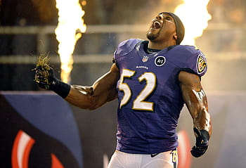 Download NFL Ray Lewis Wallpaper