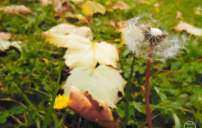 5 Tips for a Sustainable Autumn – The Green Dandelion