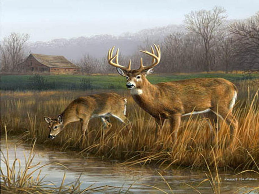 Deer Hunting Games 1600x1200, deer hunting for computer HD wallpaper