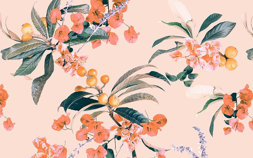 Designlovefest_SANTANA_dress, aesthetic peach pc HD wallpaper