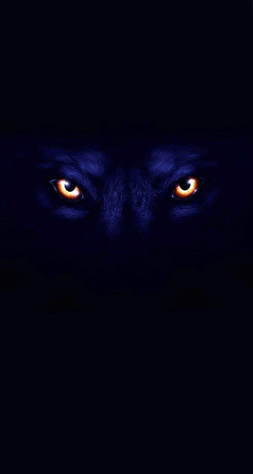 Black Wolf With Blue Eyes posted by Christopher Mercado, black and blue wolf HD phone wallpaper