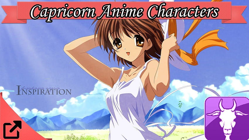 5 Best Capricorn Anime Characters  The Mary Sue