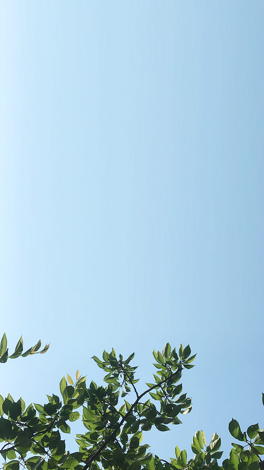 iPhone 6S . [All about summer], summertime iphone HD phone wallpaper
