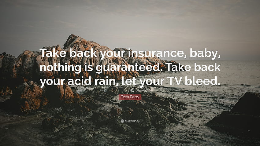 Tom Petty Quote: “Take back your insurance, baby, nothing is guaranteed. Take back your acid rain, let your TV bleed.” HD wallpaper