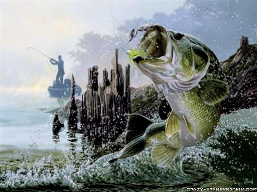 Fly Fishing, bass fishing HD wallpaper