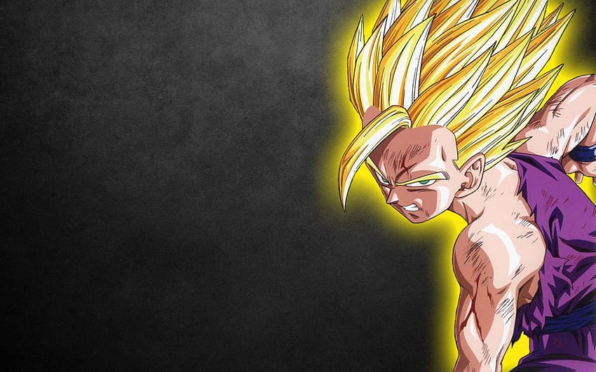 Future Gohan, Dragon Ball Z Gohan Hd Wallpaper 