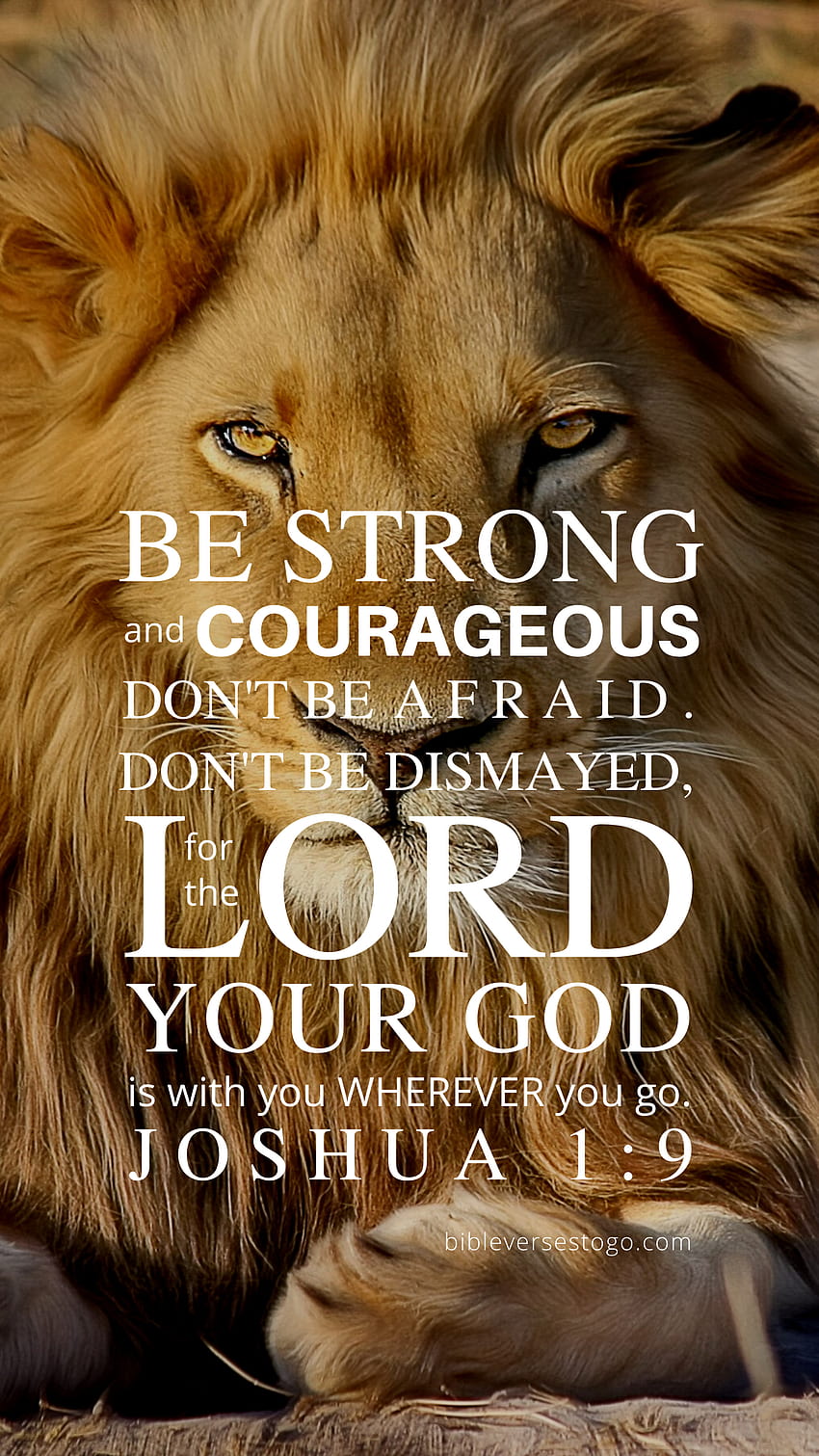 Lion Motivation Bible, joshua 19 HD phone wallpaper